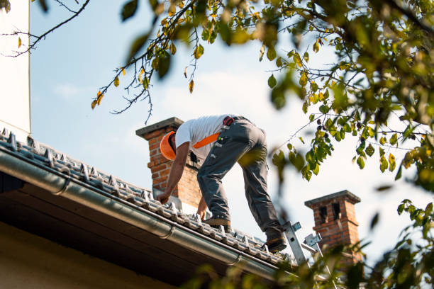 Best Roof Inspection Near Me  in Evansville, WI